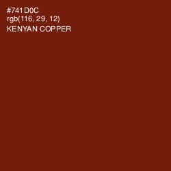 #741D0C - Kenyan Copper Color Image